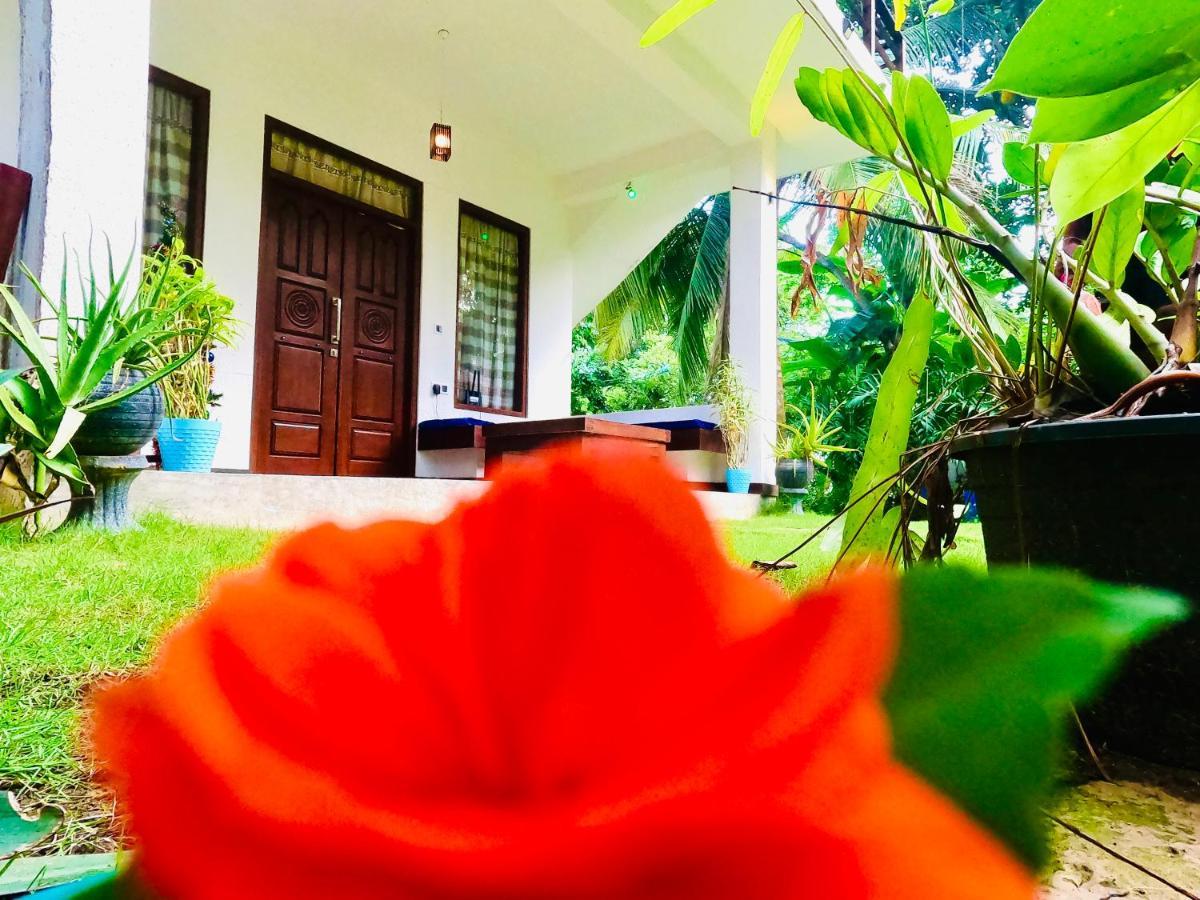Mountain Seaview Cabanas Tangalle Kültér fotó