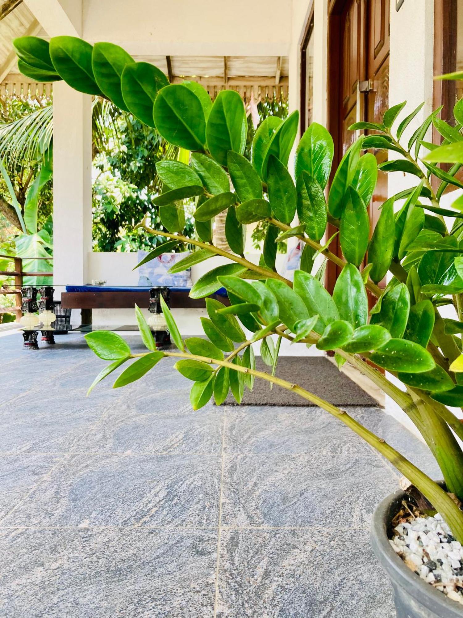 Mountain Seaview Cabanas Tangalle Kültér fotó