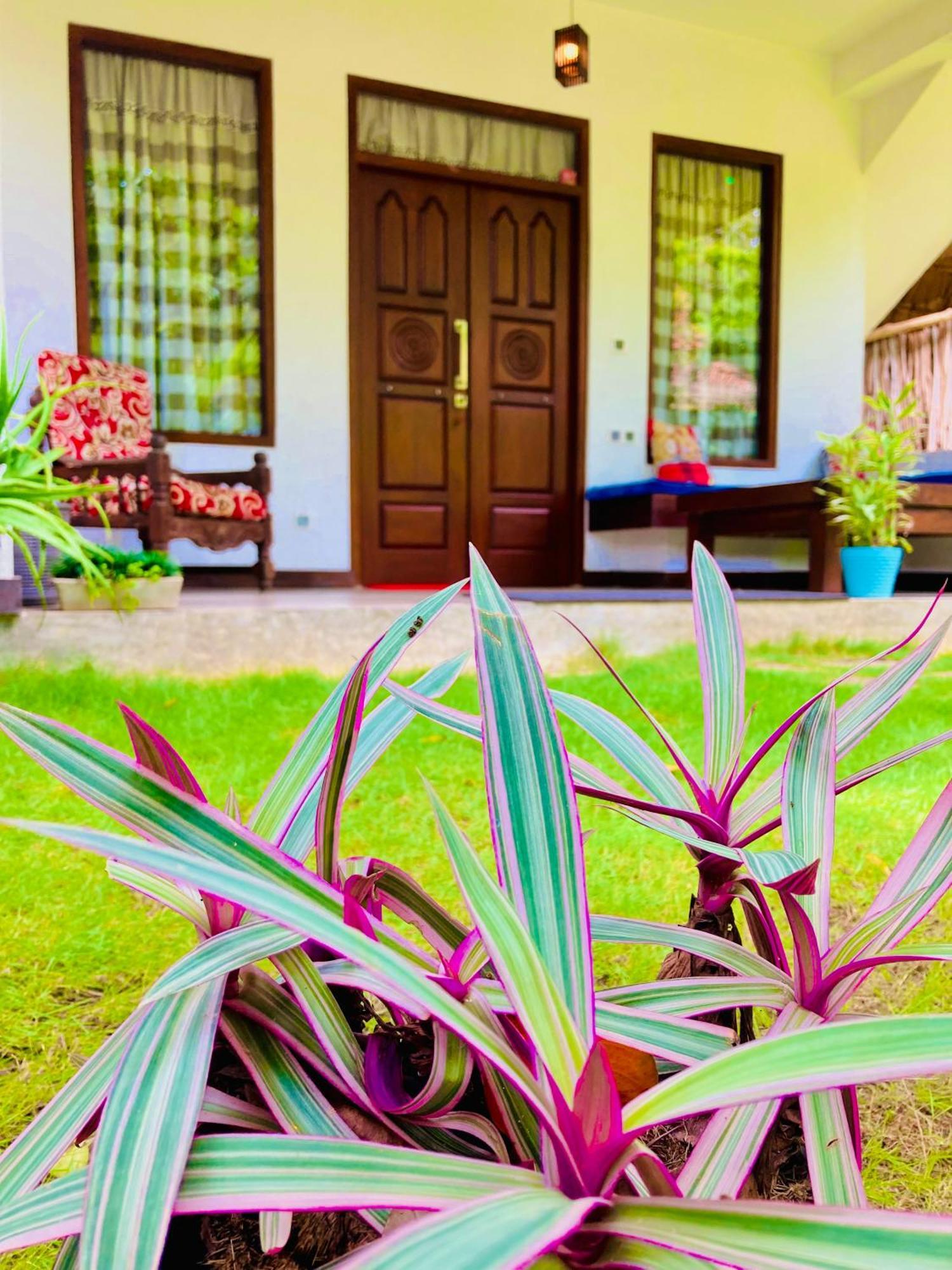 Mountain Seaview Cabanas Tangalle Kültér fotó