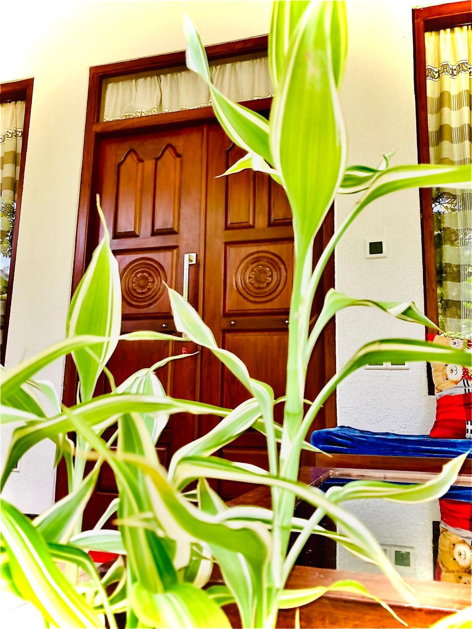Mountain Seaview Cabanas Tangalle Kültér fotó