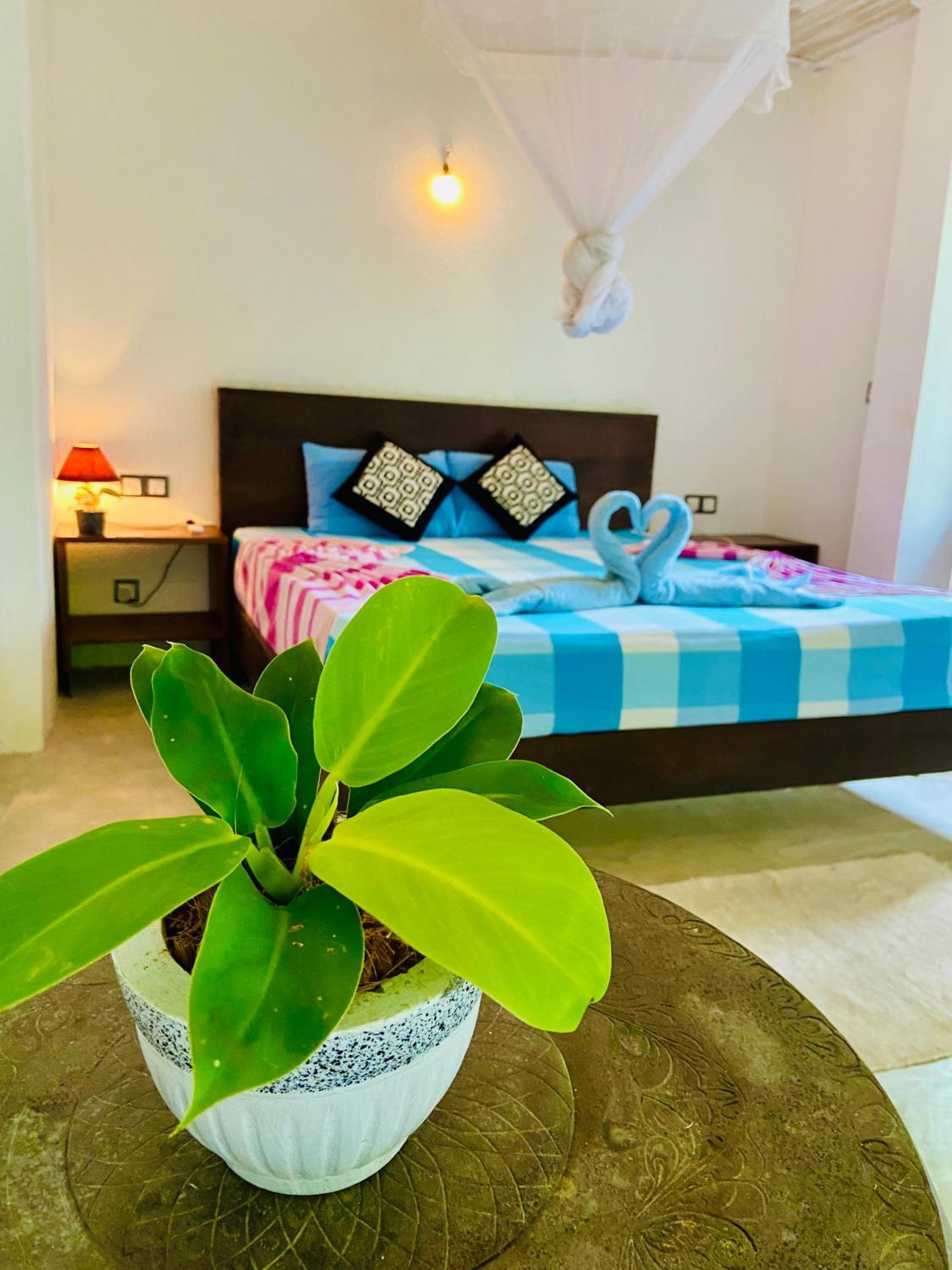 Mountain Seaview Cabanas Tangalle Kültér fotó